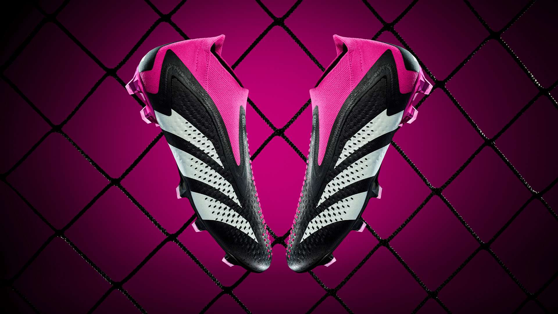 提升运动员 提升运动员